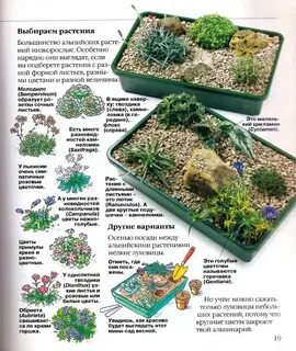 Gardening текст