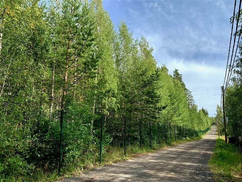 Поляны выборгский. Поляны ленинградская область. поляны (выборгский район). садоводческое некоммерческое товарищество поляна. снт выборгский район.