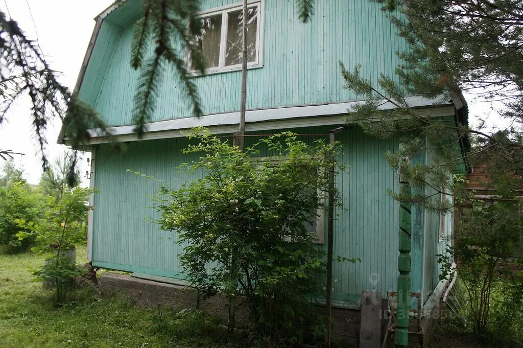 Купить дачу снт родничок. Можайск СНТ Родничок. СНТ Родничок Можайский район. МО, Можайский район, СНТ Родничок. Можайск дача.