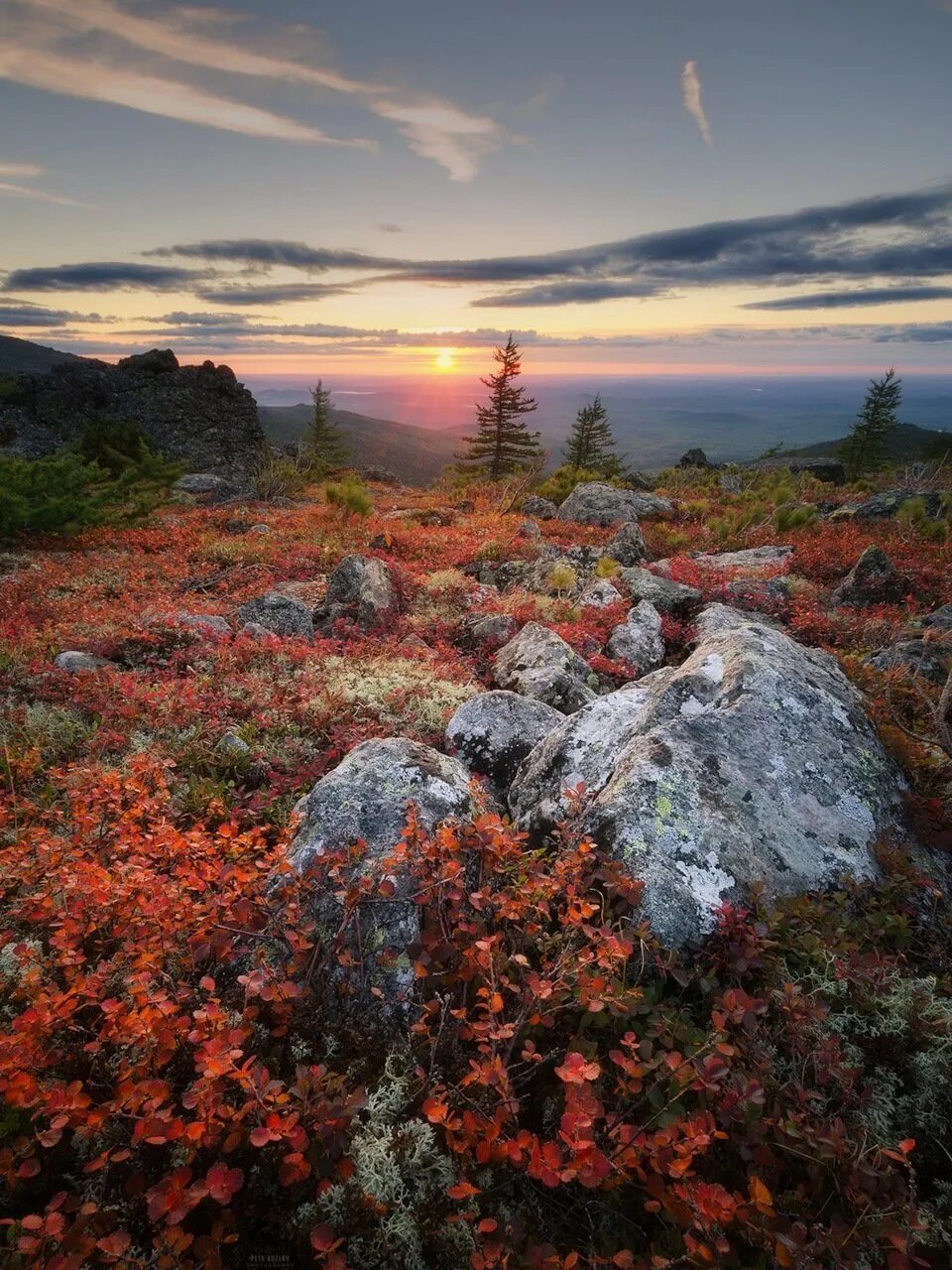 Приполярный урал, национальный парк «югыд ва». Национальный парк югыд ва в россии. Югыд ва гора народная. Национальный парк зюраткуль, южный урал. Ущелья полярного урала.