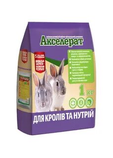 Акселерат это