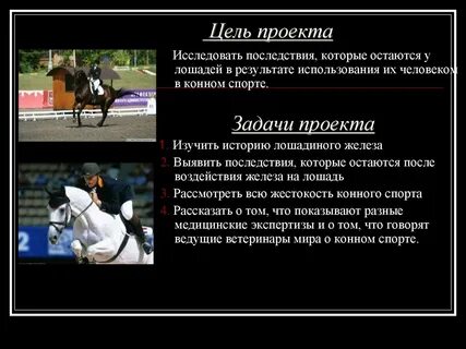 Лошади цель