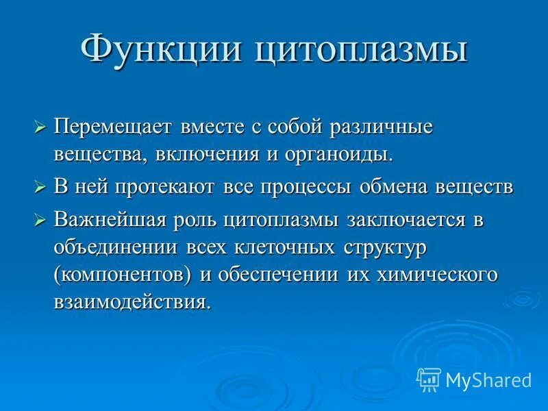 Цитоплазма особенности строения и функции. Цитоплазма функции 5 класс биология. Функция цитоплазмы в растительной клетке. Строение клетки функции цитоплазмы