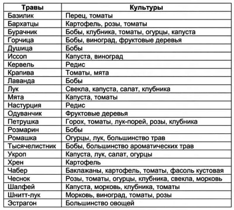 Какие культуры можно сажать рядом. Таблица смешанных посадок овощей на огороде таблица. Таблица смешанной посадки овощей. Соседство овощей на грядках таблица. Огородное соседство овощей на грядках таблица.