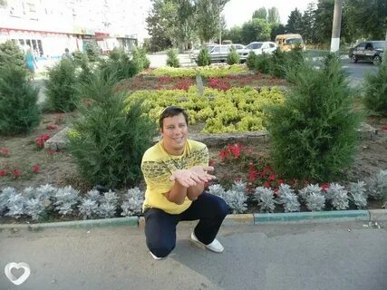 Миш табор