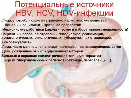 Парентеральные инфекции вич гепатиты