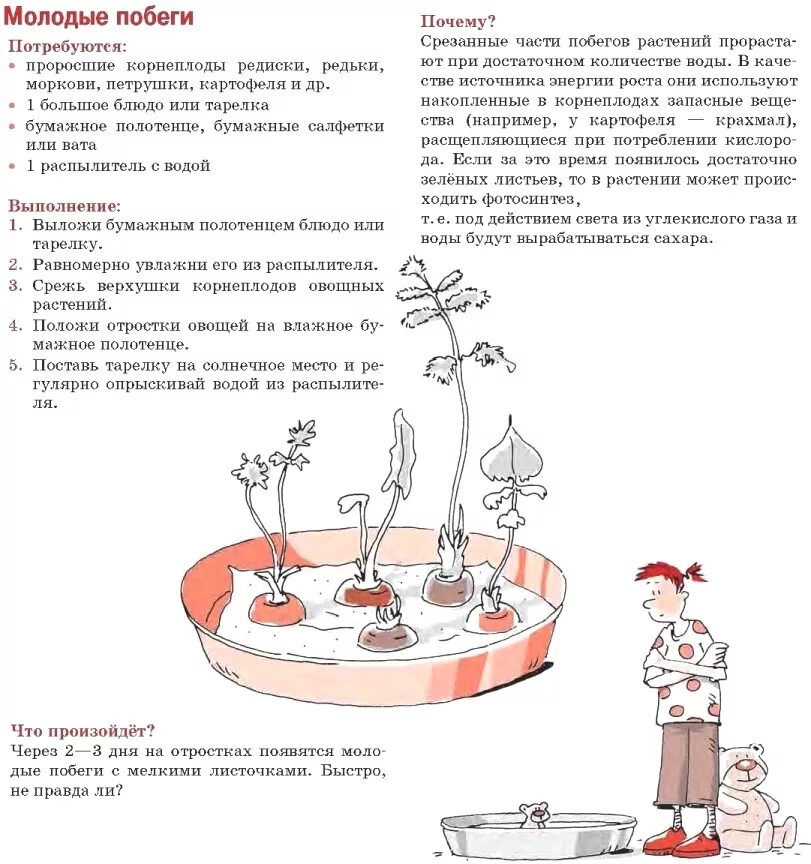 Опыт на уроке биологии