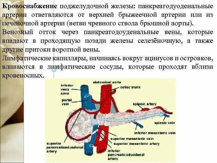 Кальцинация артерий. Кальцинация артерий