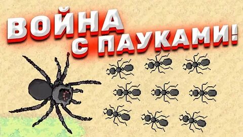 Испытание пауками