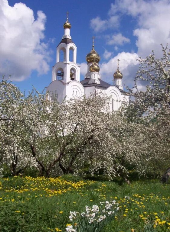 Покровские Селищи Мордовия монастырь. Свято-Варсонофиевский женский монастырь. Варсонофьевский монастырь Мордовия. Храм Покров селище Мордовия. Свято варсонофиевский монастырь мордовия