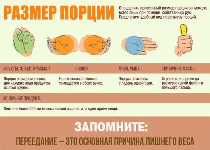 Порция еды это. Порция еды это. Как узнавать сколько грамм в еде. Маленькие порции еды. Правильное питание порции.