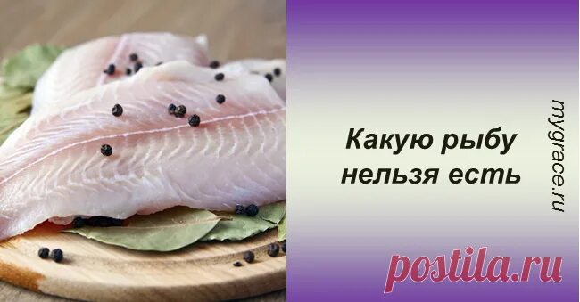 Мусульманские рыбы. Рыба которую нельзя есть. Какую рыбу нельзя кушать. Какую рыбу нельзя кушать мусульманам. Какие виды рыб нельзя есть.