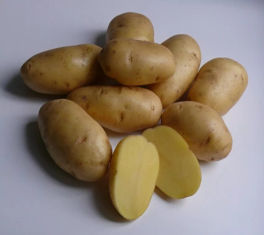 Сорт картофеля Импала. Семенной картофель. Сорт Гала. Картофель спорт Импала. Картофель семенной Импала.