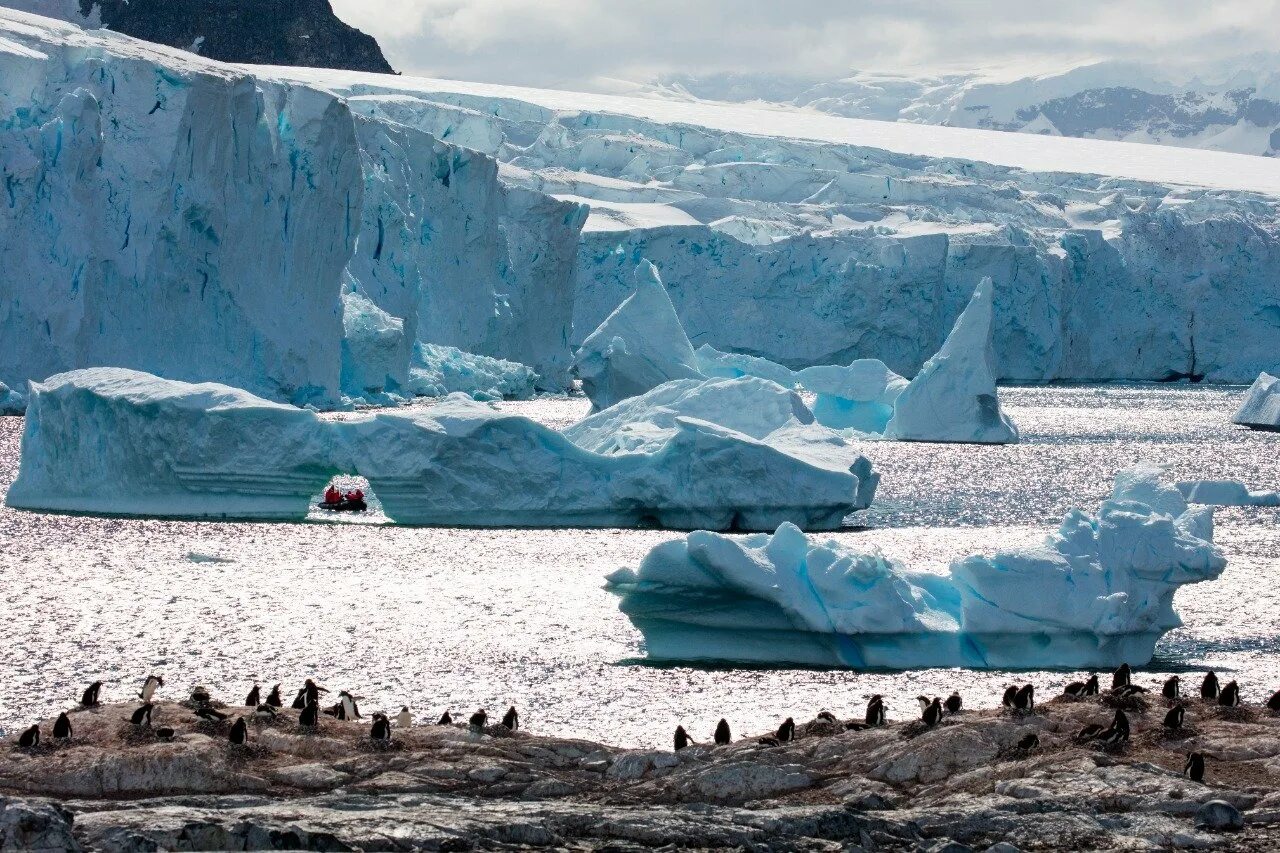 Большой остров покрытый льдами. Дервилл Антарктида. Антарктида фото. Табиати Антарктида. Берег Антарктиды.