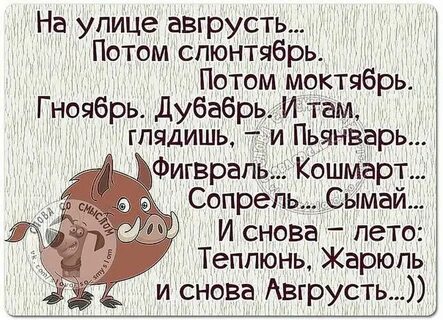 Смешные фразы на все случаи жизни