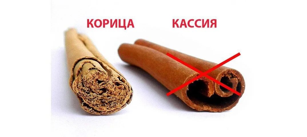 Кассия как отличить. Палочки корицы (Кассия). Корица и Кассия. Корица в палочках настоящая. Корица настоящая.