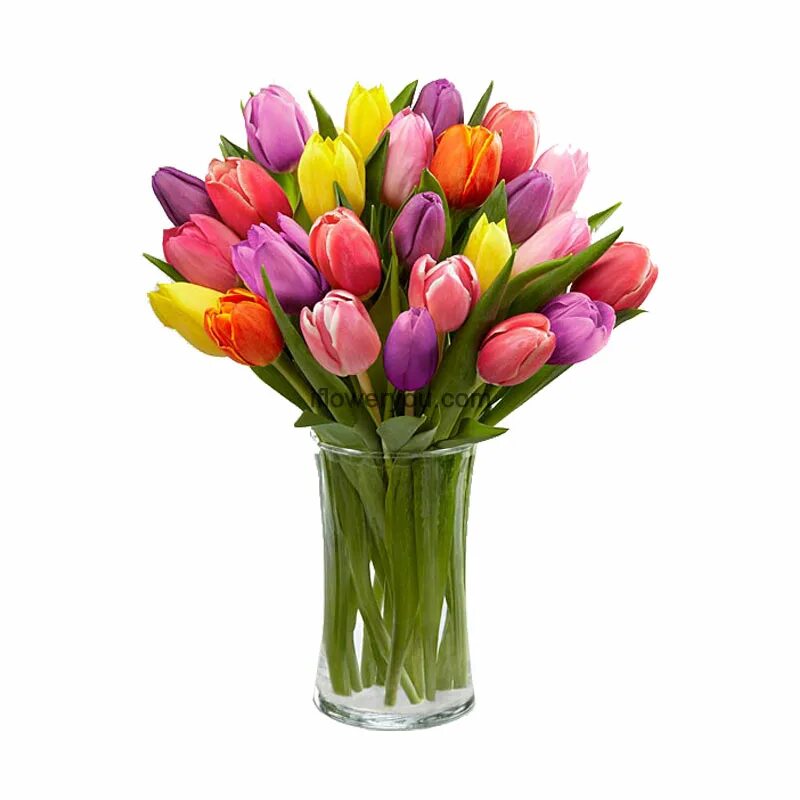 сколько тюльпанов в букете на 8. букет из розовых тюльпанов. нежный букет из тюльпанов. тюльпаны всех цветов. запаковать букет 25 тюльпанов.