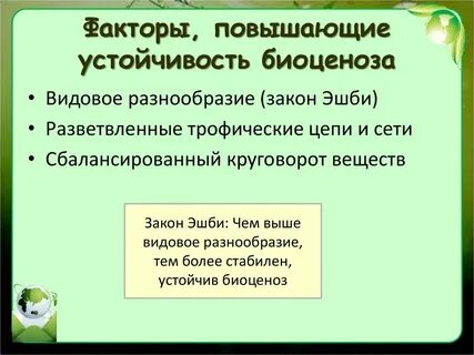 Устойчивость биоценоза