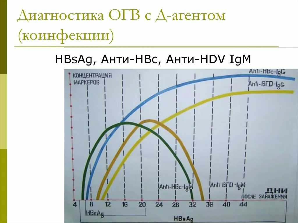 Суперинфекция маркеры. Hbsag положительный и hbeag отрицательный. Анализ anti hbs количественный. Антитела к hbe. Hbs igm.