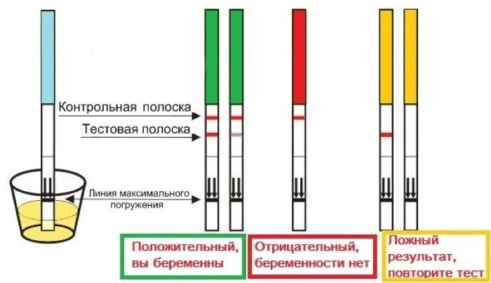 Сколько держать тест на беременность в моче