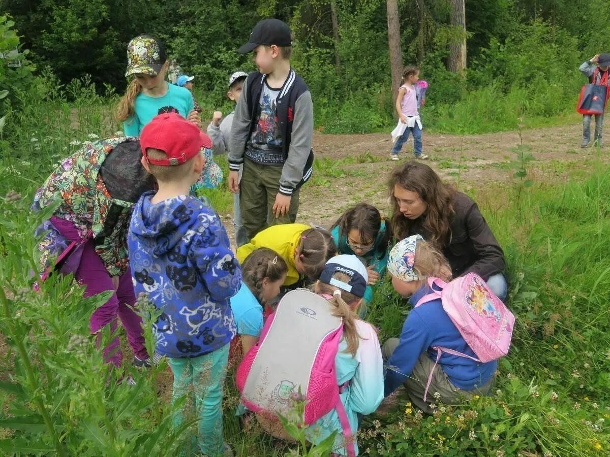 Экскурсии по экологии. Экологический кружок. Экологический поход для детей. Детям об экологии. Экологические уроки в школе