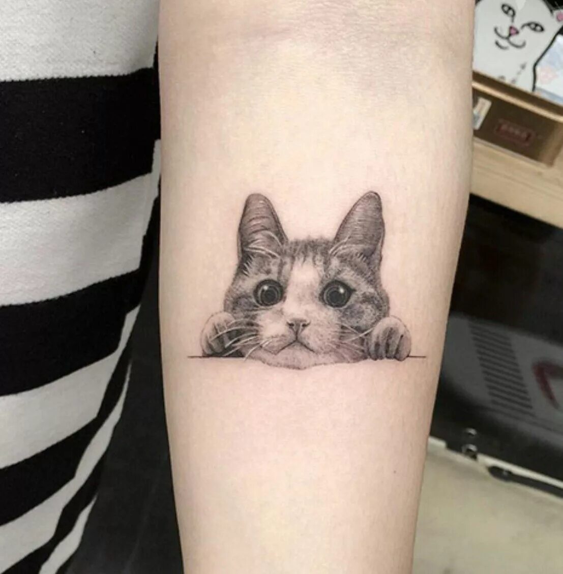Тату сиамская кошка на руке. Фото тату кошек. Тату кошка на лопатке для девушек. Тату кот цветной. Тату кошка на руке.