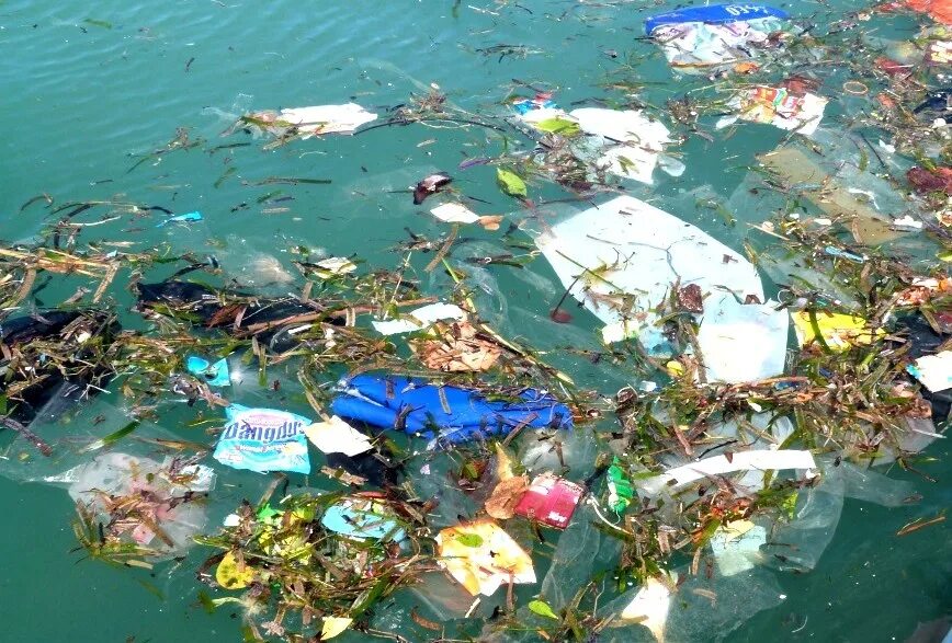 Чем опасны отходы в морях. Бытовые отходы в океане. твердые отходы в воде.