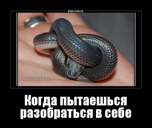 Как разобраться в себе и понять. Пыталась разобраться в себе. разобраться в себе картинки. когда пыталась разобраться в себе. пыталась разобраться в себе картинка.