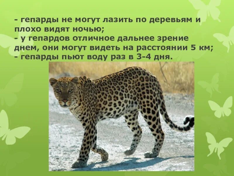 Презентация Самые необычные сооружения в мире.