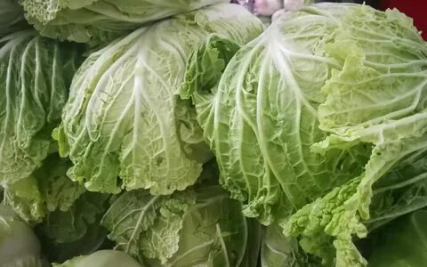 长 这 么 大.总 算 知 道 大 白 菜.小 白 菜 和 娃 娃 菜 是 啥 关 系 了 