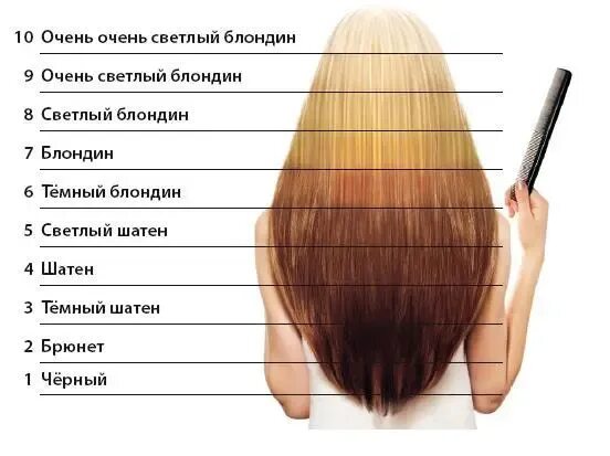Разные типы волос. Волосы других девушек. Перечислите типы волос. Типы формы волос. Волос по угт.