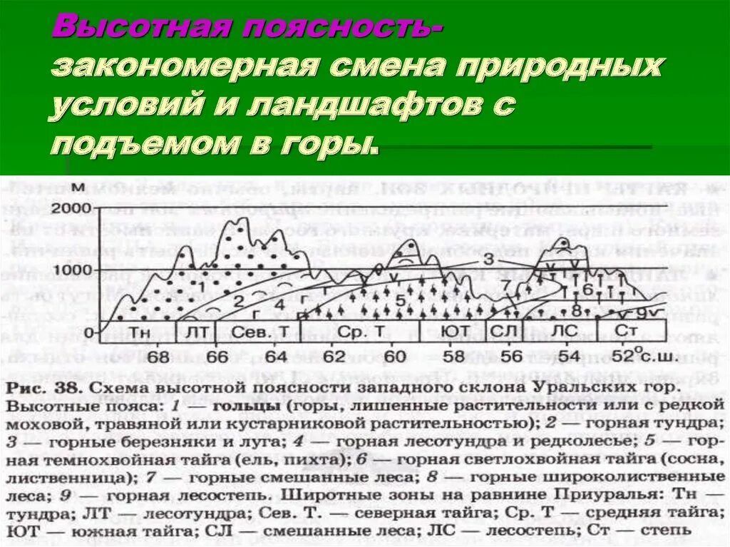 Высотная поясность Сибири. Высотная поясность хребта Черского. Высотная поясность 8 класс Уральские горы. Высотная поясность закономерная.