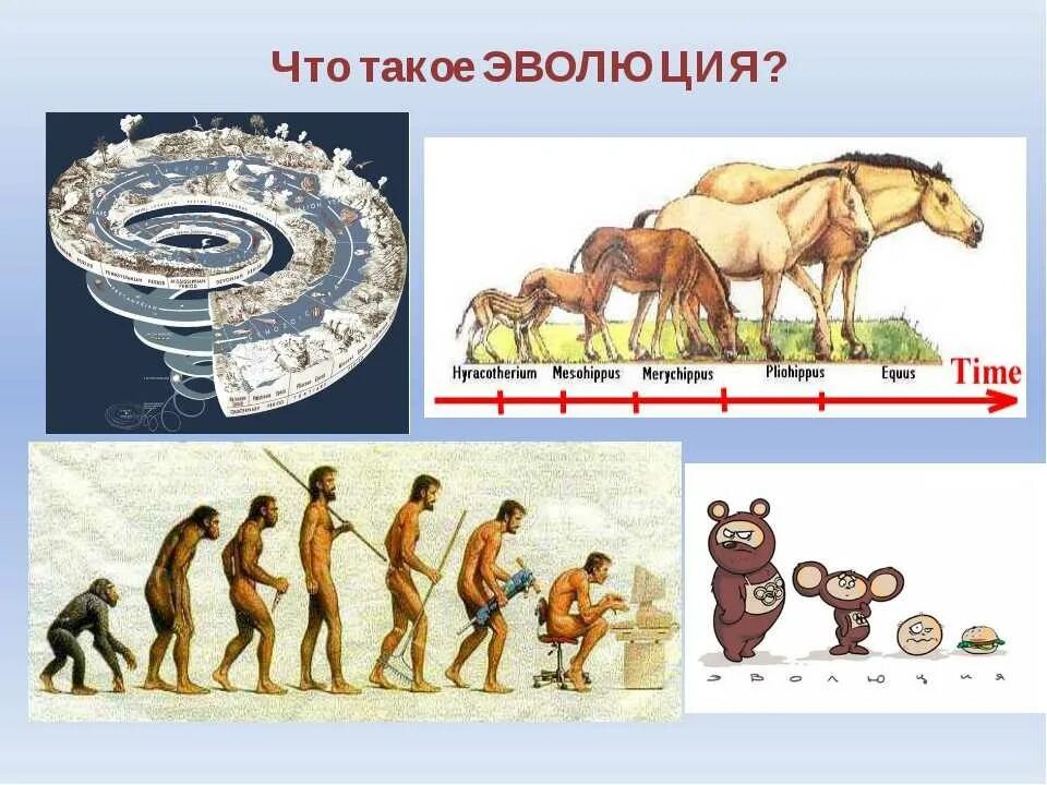 Эволюция. Эволюция это в биологии. Эволюция определение. Эволюция развития.