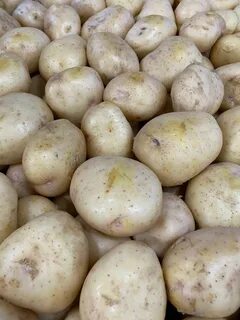 Картофель синеглазка описание сорта фото отзывы сроки