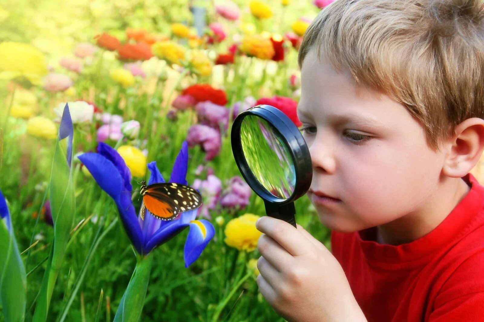 Роль человека в саду. Дети и природа. Ребенок познает мир. Дети изучают природу. Дети дошкольники.