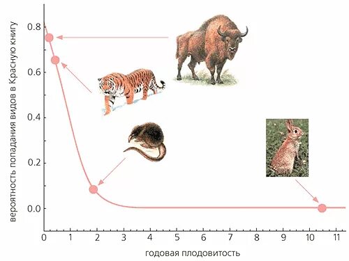 Как связаны плодовитость продолжительность жизни и размеры