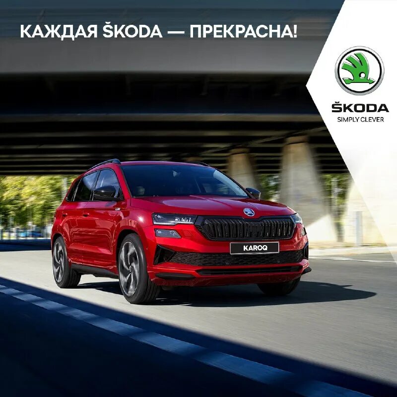 шкода октавия эволюция модели. B4b4 цвет кузова. классы автомобилей skoda. классы машин. классы автомобилей.