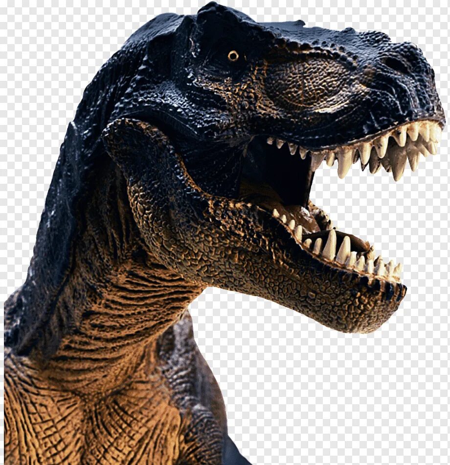 Тираннозавр картинки. Тираннозавр рекс. Тираннозавр ти рекс. Королевский Тираннозавр. Динозавр "Тиранозавр рекс".