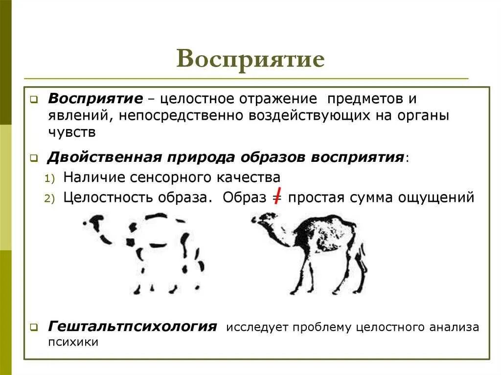 Изучение особенностей восприятия