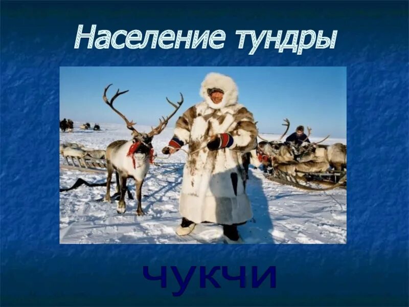 Народ чукчи сообщение. Жители тундры. занятия народов тундры. занятия населения тундры. коренные жители тундры их занятия.