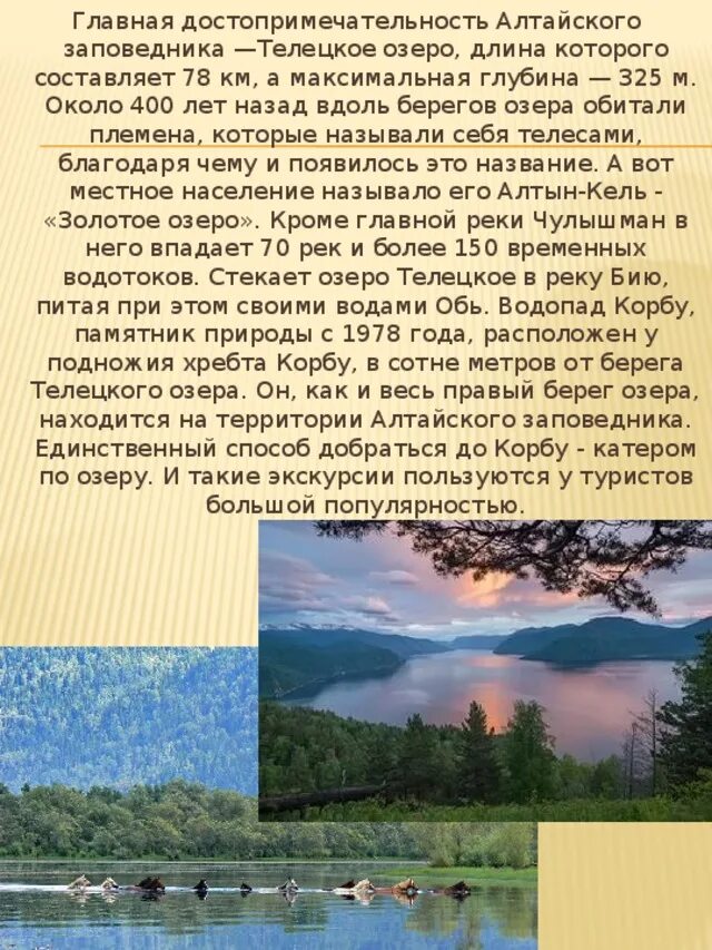 Сообщение о алтайском заповеднике. Телецкое озеро глубина максимальная. Рассказ о Алтайском крае. Сообщение о Алтайском крае. Описание природы Алтайского края.