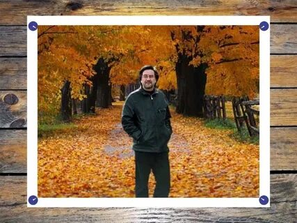 Дтт осень