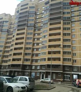 Пушкино ул просвещения 2