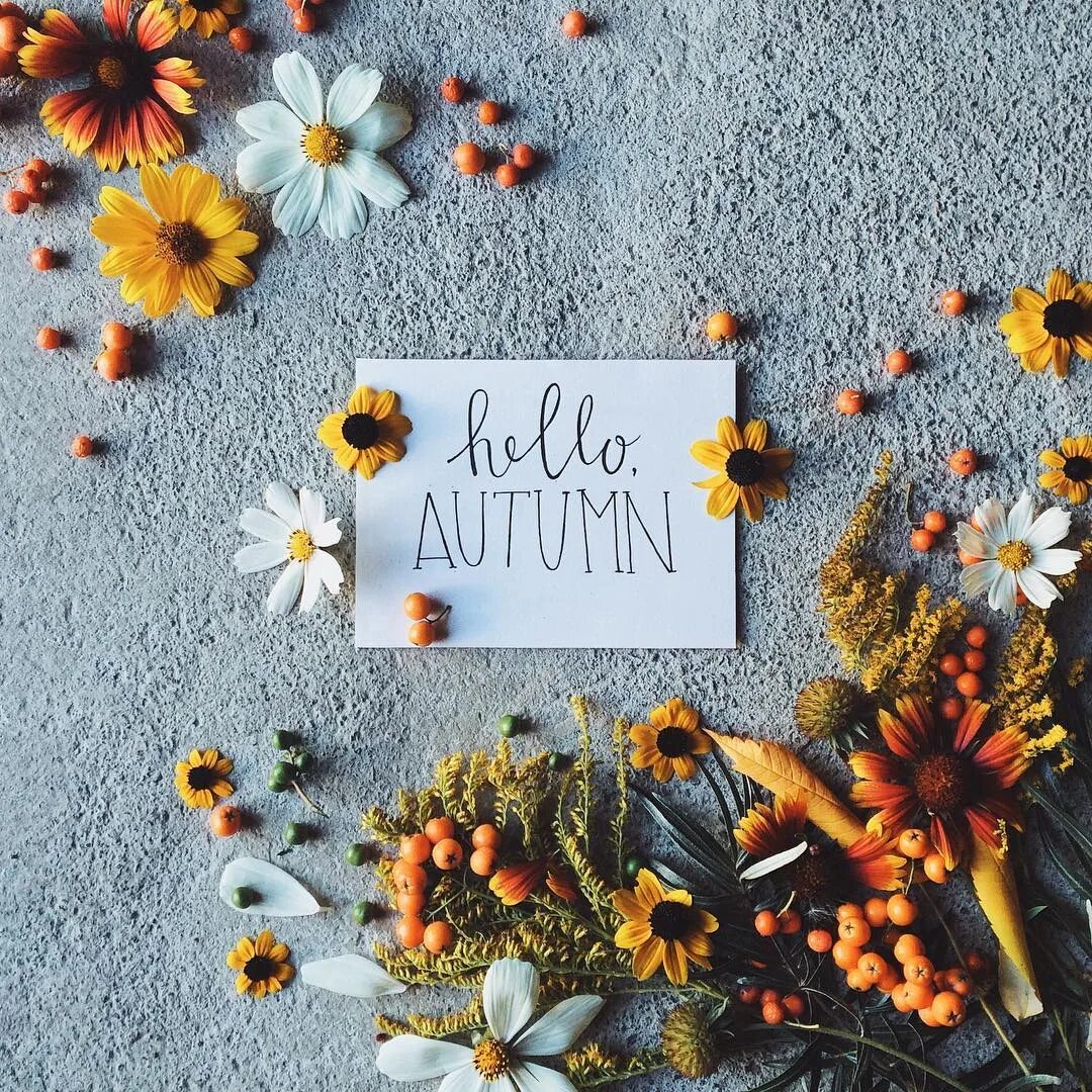 Картины hello. Hello осень. Hello autumn картинки. Hello autumn коллаж. Привет осень по английски.