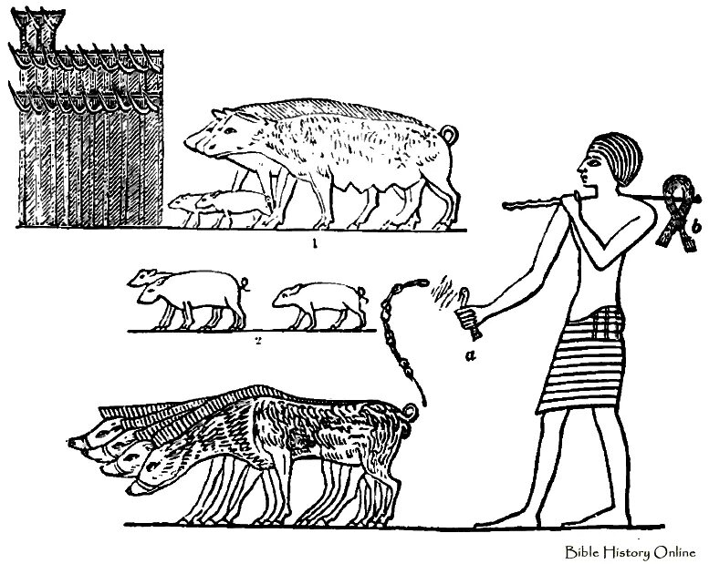 домашние животные в древнем египте. одомашнивание в египте. домашние животные в древнем египте.