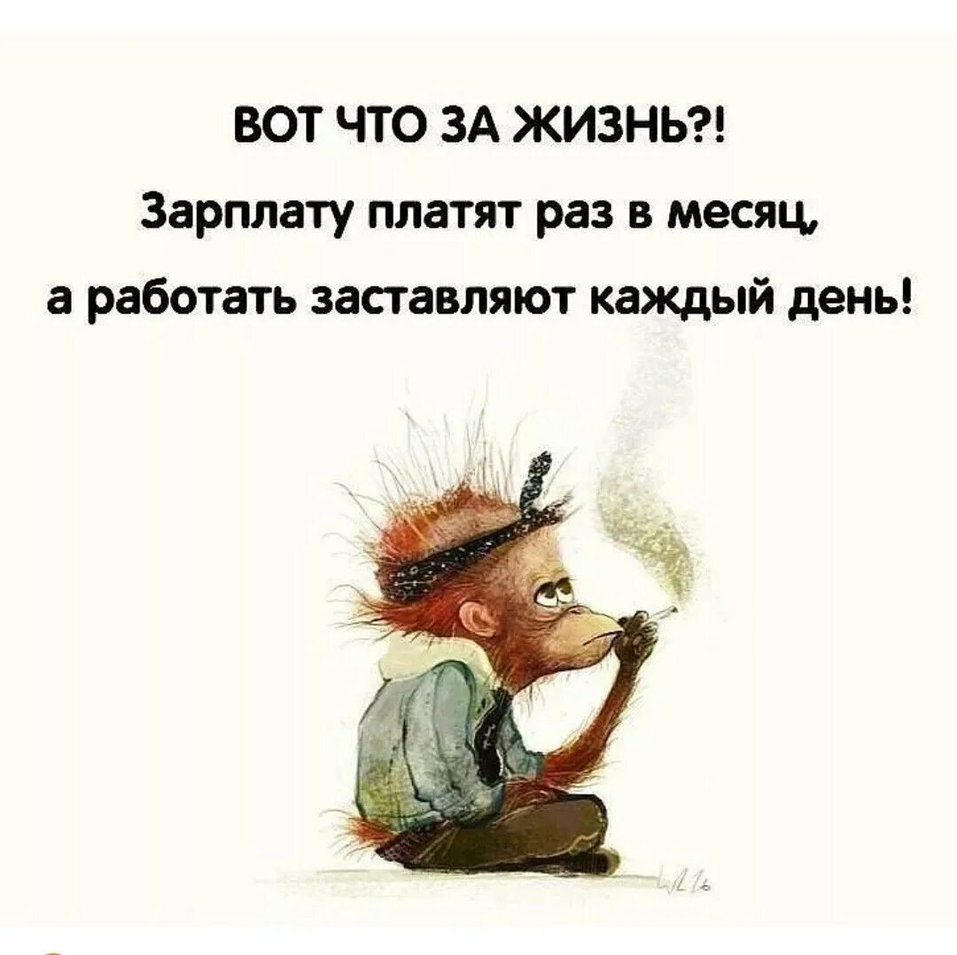 Плачу на работе что делать. Смешные цитаты про зарплату. Зарплата юмор. Шутки про зарплату. Зарплата картинки.