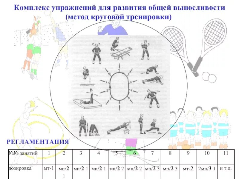 Комплекс упражнений на развитие выносливости. Комплекс упражнений на выносливость 10. Упражнения для развития выносливости 10 упражнений. Упражнения для круговой тренировки. Круговая тренировка комплекс упражнений.