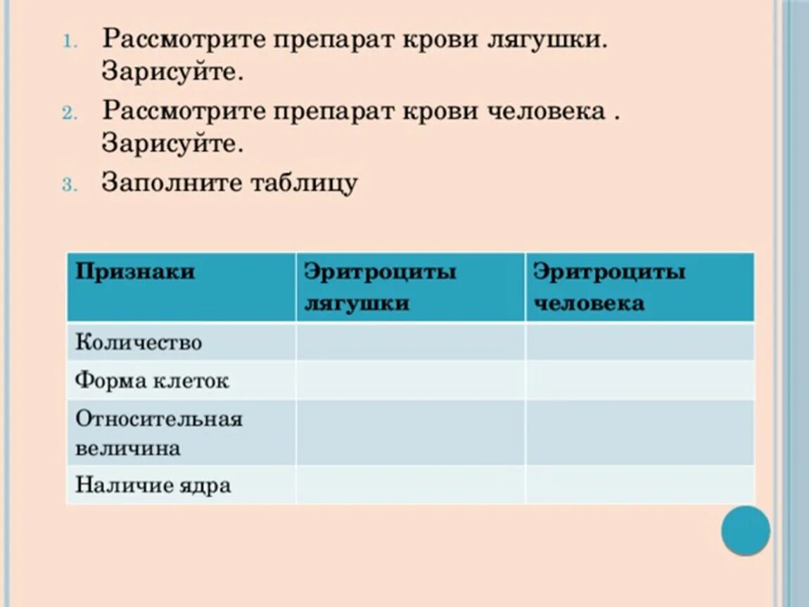 Наличие ядра человека. Таблица кровь человека и лягушки. Таблица эритроциты человека и лягушки. Сравнение эритроцитов человека и лягушки таблица. Сходства эритроцитов крови человека и лягушки.