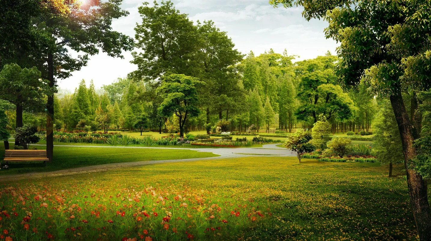 Background park