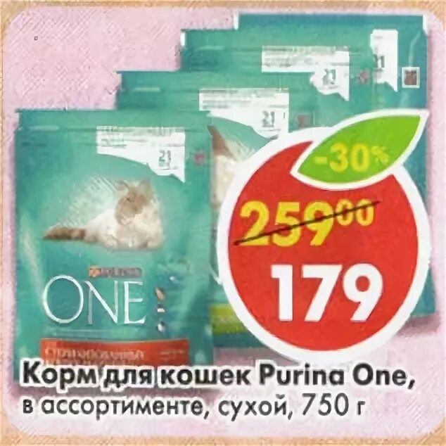 Корм для кошек из пятерочки. Корм для котов в пятерочке. Кошачий корм сухой в пятерочке. Пакетик корма для котят. Корм кэтти для кошек с говядиной.